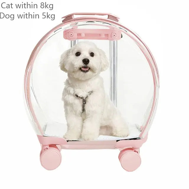 "Rolling pet travel trolley with wheels and transparent capsule carrier in pink and green"