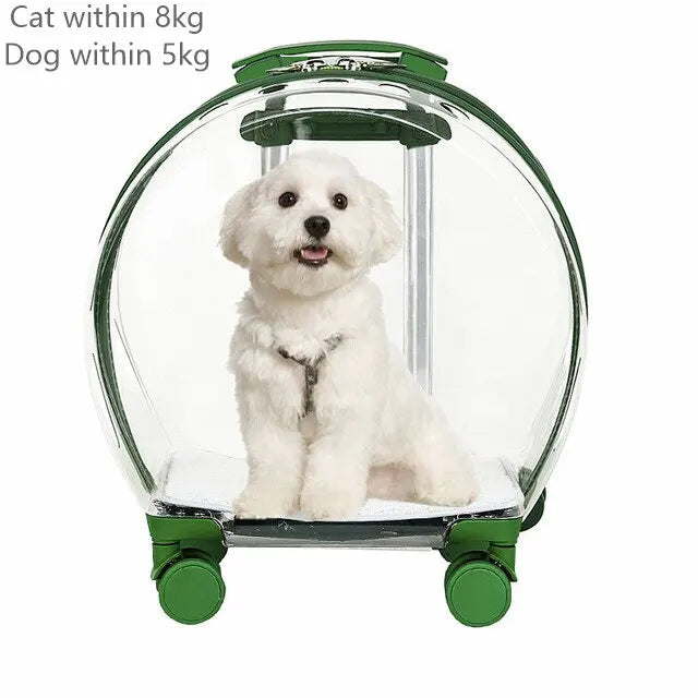 "Rolling pet travel trolley with wheels and transparent capsule carrier in pink and green"