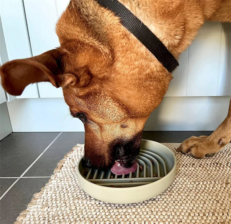 "Slow feeder anti-knockover and anti-slip food bowl for cats and puppies"
