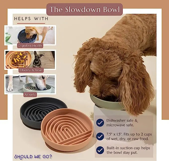 "Slow feeder anti-knockover and anti-slip food bowl for cats and puppies"
