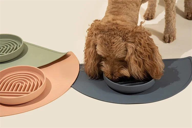 "Slow feeder anti-knockover and anti-slip food bowl for cats and puppies"
