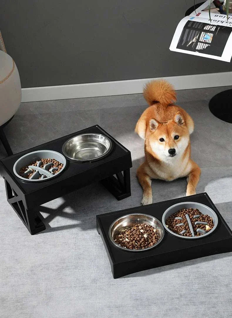 "Adjustable height dog elevated bowl stand with slow feeding dish"raised dog food bowl