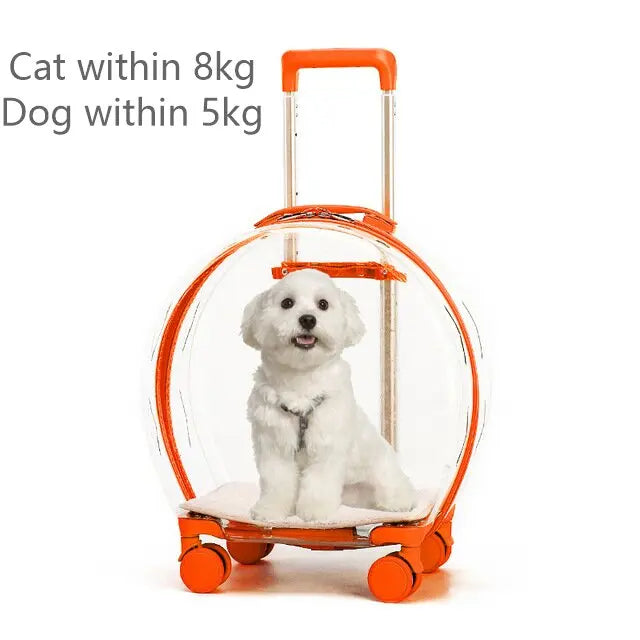 "Rolling pet travel trolley with wheels and transparent capsule carrier in pink and green"