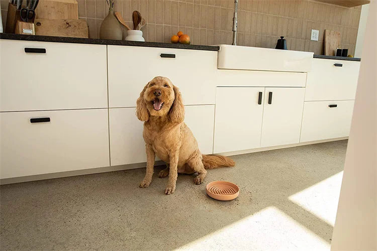 "Slow feeder anti-knockover and anti-slip food bowl for cats and puppies"
