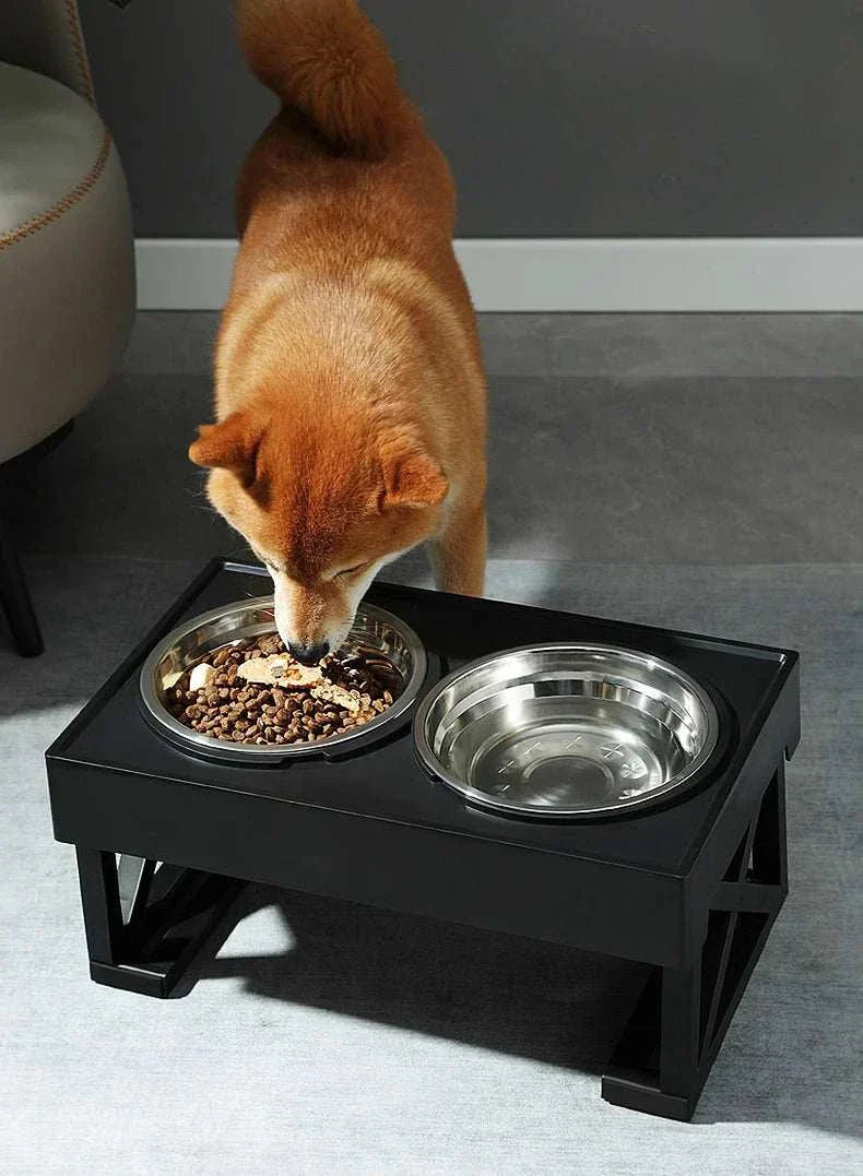 "Adjustable height dog elevated bowl stand with slow feeding dish"raised dog food bowl