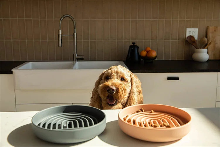 "Slow feeder anti-knockover and anti-slip food bowl for cats and puppies"
